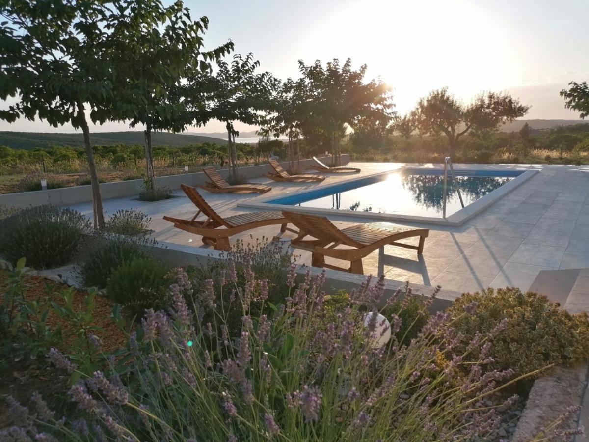 Villa Jelena ซาดาร์ ภายนอก รูปภาพ